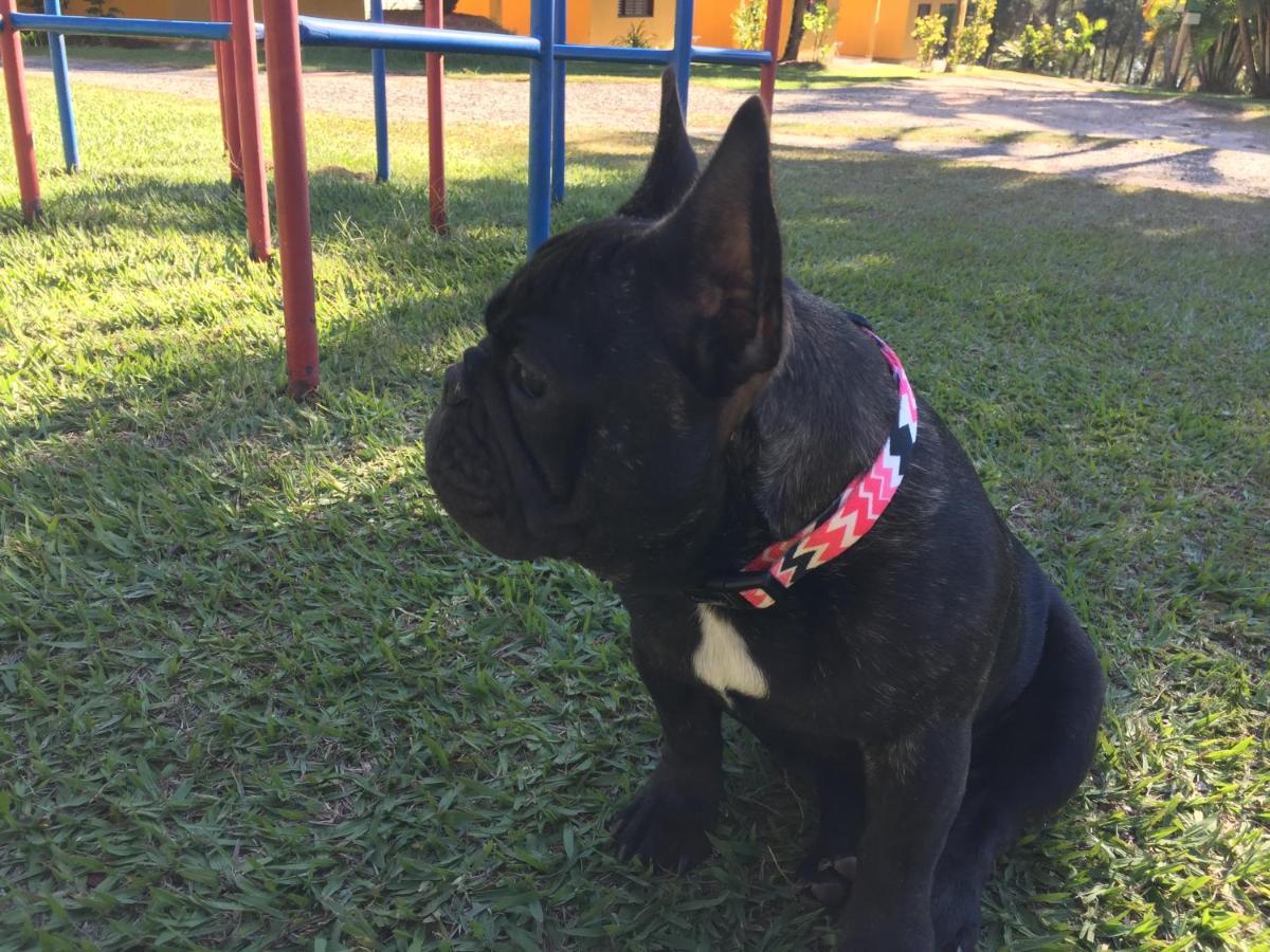Pousada Paraiso Serra Negra Kültér fotó