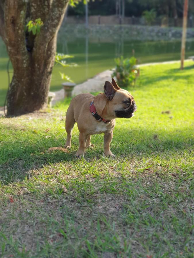 Pousada Paraiso Serra Negra Kültér fotó